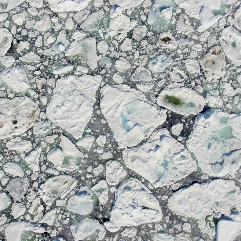 ice bath cold plunge