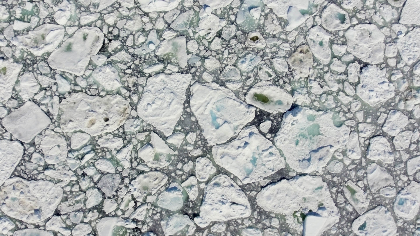 ice bath cold plunge